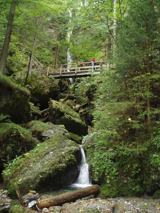 Apartamento Gastehaus Koch Fischen im Allgaeu Exterior foto